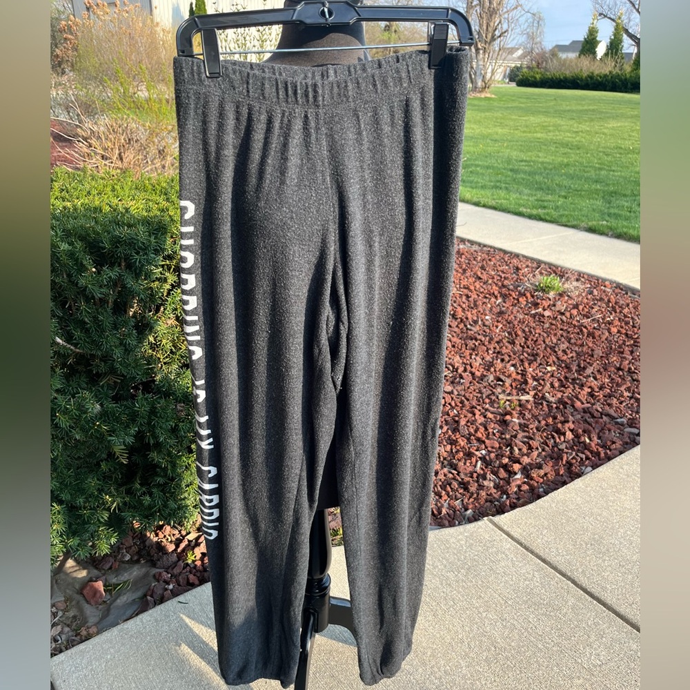 Ladies Wildfox Gray shopping is my cardio relaxed jogger size Medium